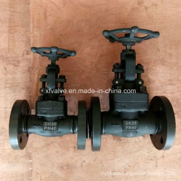 DIN Forged Carbon Steel A105 Flange Connection End Globe Valve